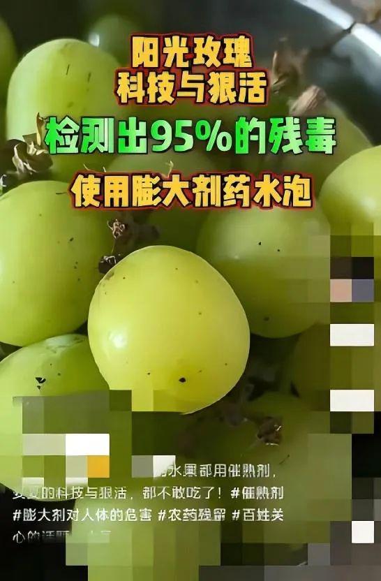 數(shù)百項農(nóng)殘檢測全為0？降解藥殘抗重茬，島本酵素菌劑到底有多神奇！